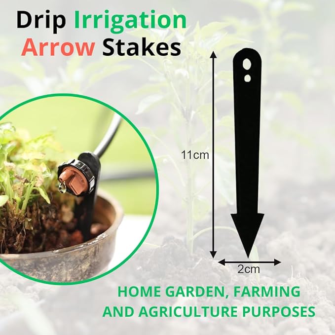 Plant Support Stakes – Garden & Terrace Plant Stakes thumbnail 2